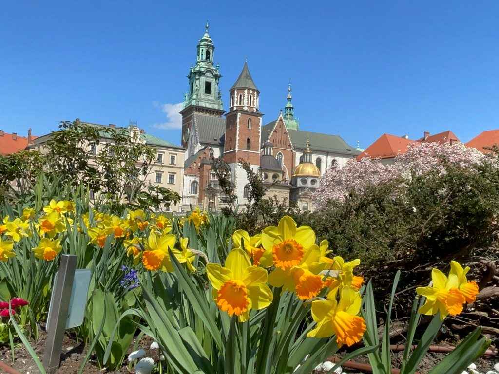 Wawel-kasteel in Krakau