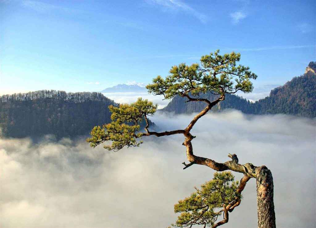 soloica mountain 