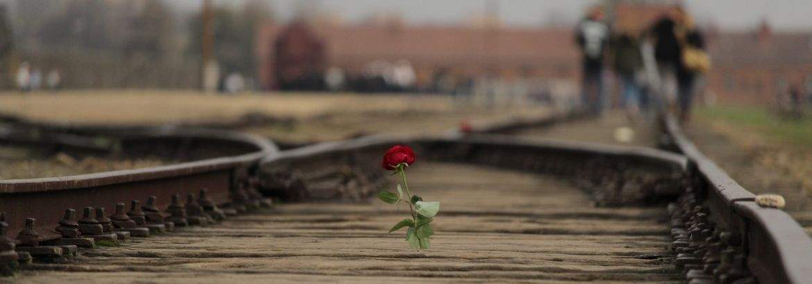 Rampa Birkenau: Miejsce Selekcji i Cichy Świadek Zbrodni