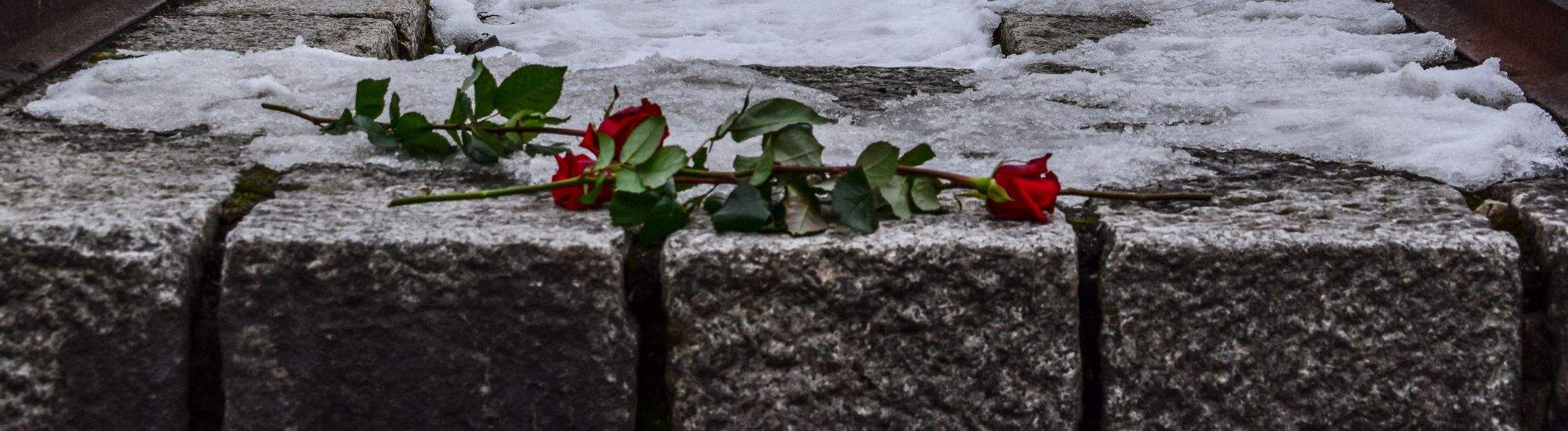 Osiemdziesiąta rocznica wyzwolenia Auschwitz – upamiętnienie ofiar i przesłanie dla przyszłych pokoleń