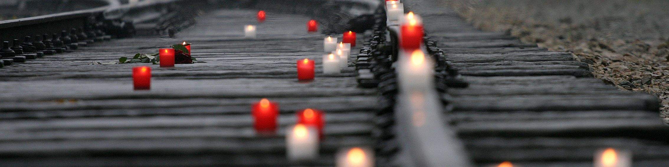 81. rocznica wyzwolenia Auschwitz – pamięć, doświadczenie i głos Ocalałych