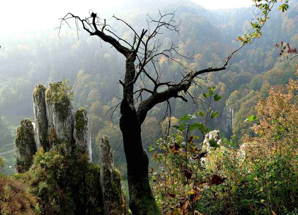 The Krakow-Czestochowa Highland