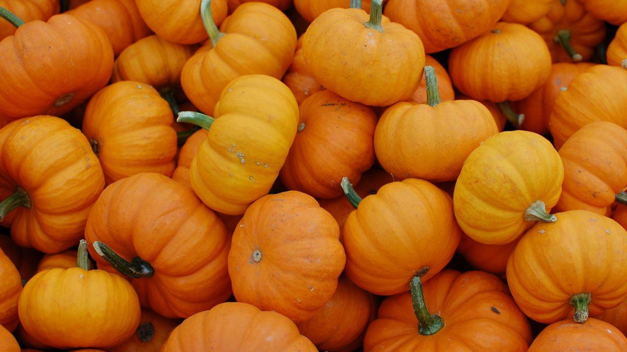 pumpkins 